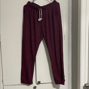Sol Angeles Burgundy Sweatpants Men’s Medium Jogger